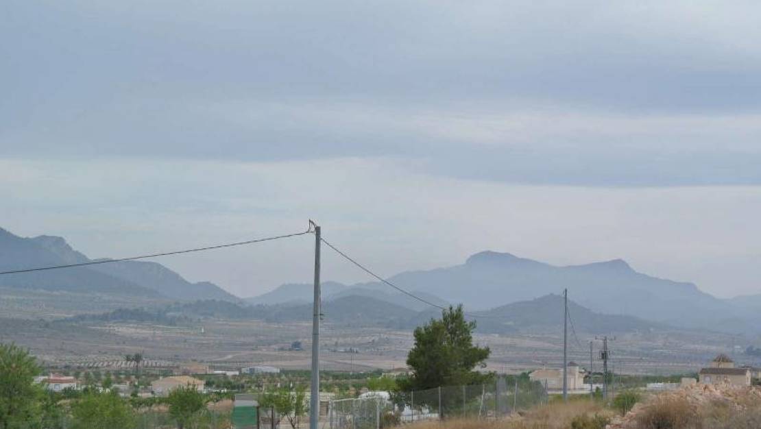 Sale - Land - Jumilla - Jumilla Centro