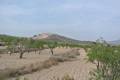 Sale - Land - Jumilla - Jumilla Centro
