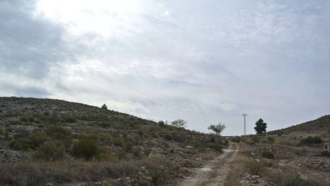 Sale - Land - Jumilla - Jumilla Centro