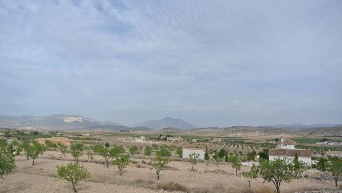 Sale - Land - Jumilla - Jumilla Centro
