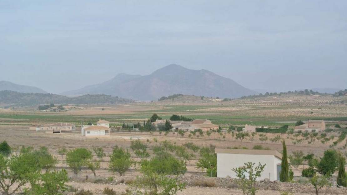 Sale - Land - Jumilla - Jumilla Centro