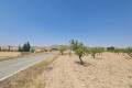 Sale - Land - Jumilla - Jumilla Centro