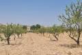 Sale - Land - Jumilla - Jumilla Centro
