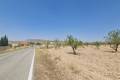 Sale - Land - Jumilla - Jumilla Centro