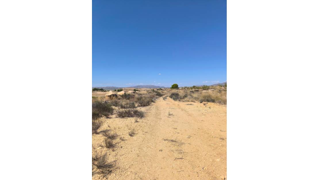 Sale - Land - Jumilla - Jumilla Centro