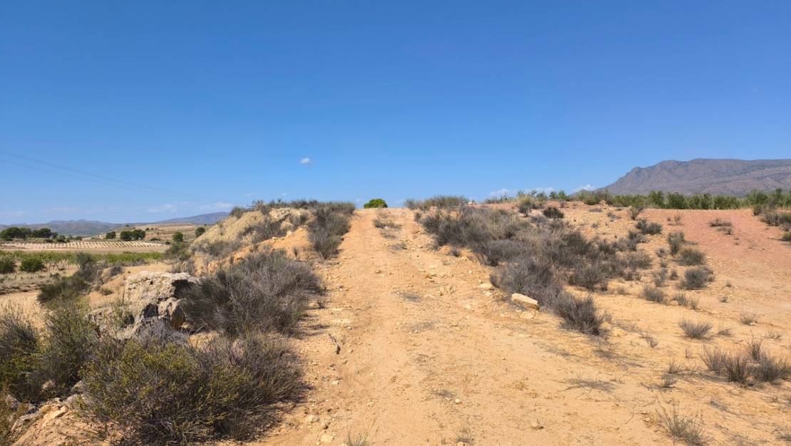 Sale - Land - Jumilla - Jumilla Centro
