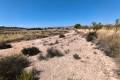 Sale - Land - Jumilla - Jumilla Centro