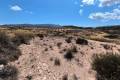 Sale - Land - Jumilla - Jumilla Centro