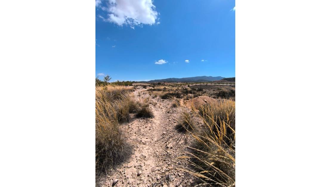 Sale - Land - Jumilla - Jumilla Centro