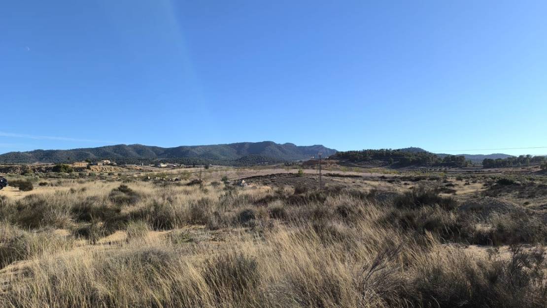 Sale - Land - Jumilla - Jumilla Centro