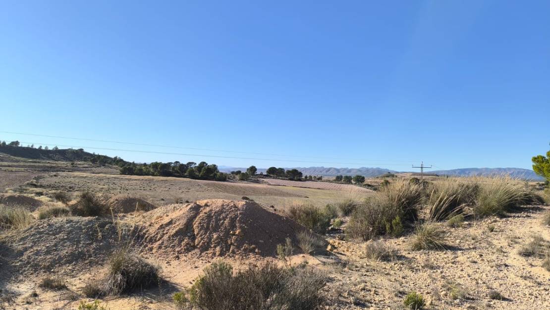 Sale - Land - Jumilla - Jumilla Centro