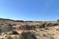 Sale - Land - Jumilla - Jumilla Centro