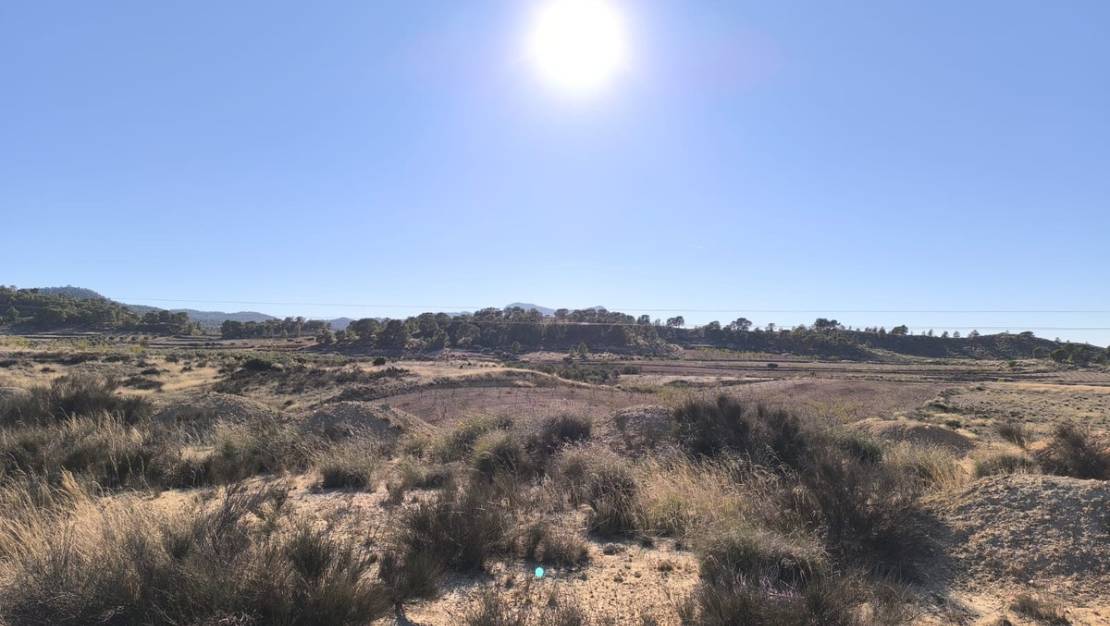 Sale - Land - Jumilla - Jumilla Centro