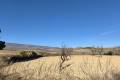 Sale - Land - Jumilla - Jumilla Centro