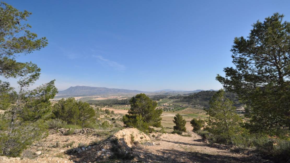 Sale - Land - Jumilla - La Zarza