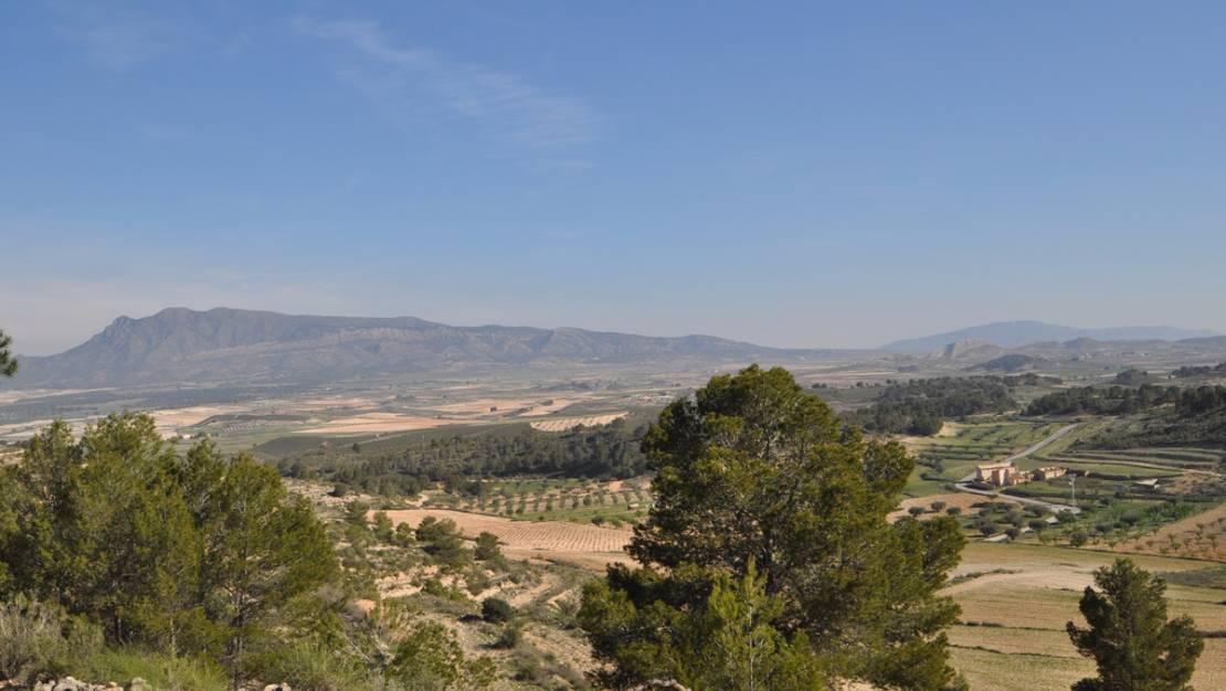 Sale - Land - Jumilla - La Zarza