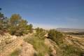 Sale - Land - Jumilla - La Zarza