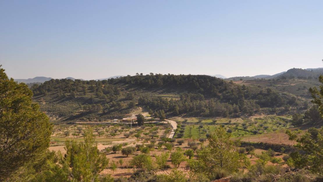 Sale - Land - Jumilla - La Zarza