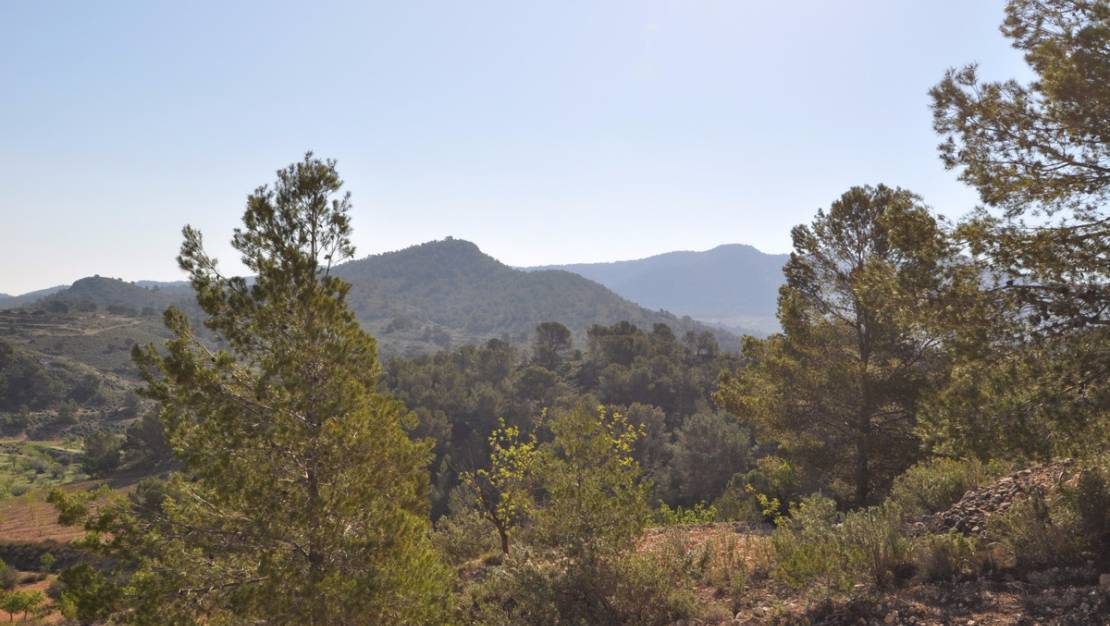 Sale - Land - Jumilla - La Zarza