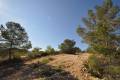 Sale - Land - Jumilla - La Zarza