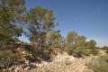 Sale - Land - Jumilla - La Zarza