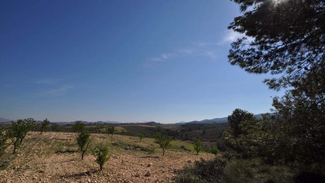 Sale - Land - Jumilla - La Zarza