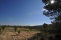 Sale - Land - Jumilla - La Zarza