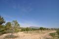 Sale - Land - Jumilla - La Zarza