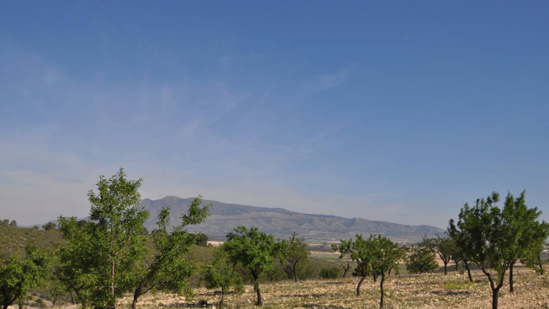 Sale - Land - Jumilla - La Zarza
