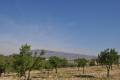 Sale - Land - Jumilla - La Zarza