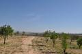 Sale - Land - Jumilla - La Zarza