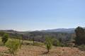 Sale - Land - Jumilla - La Zarza