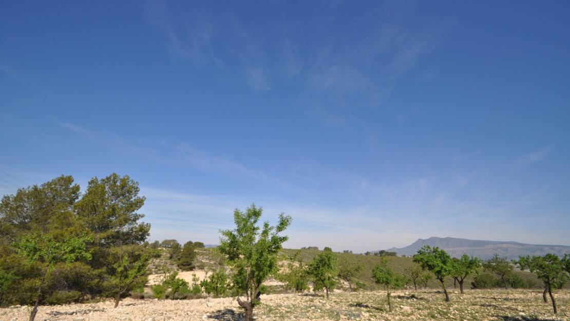 Sale - Land - Jumilla - La Zarza