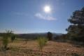 Sale - Land - Jumilla - La Zarza