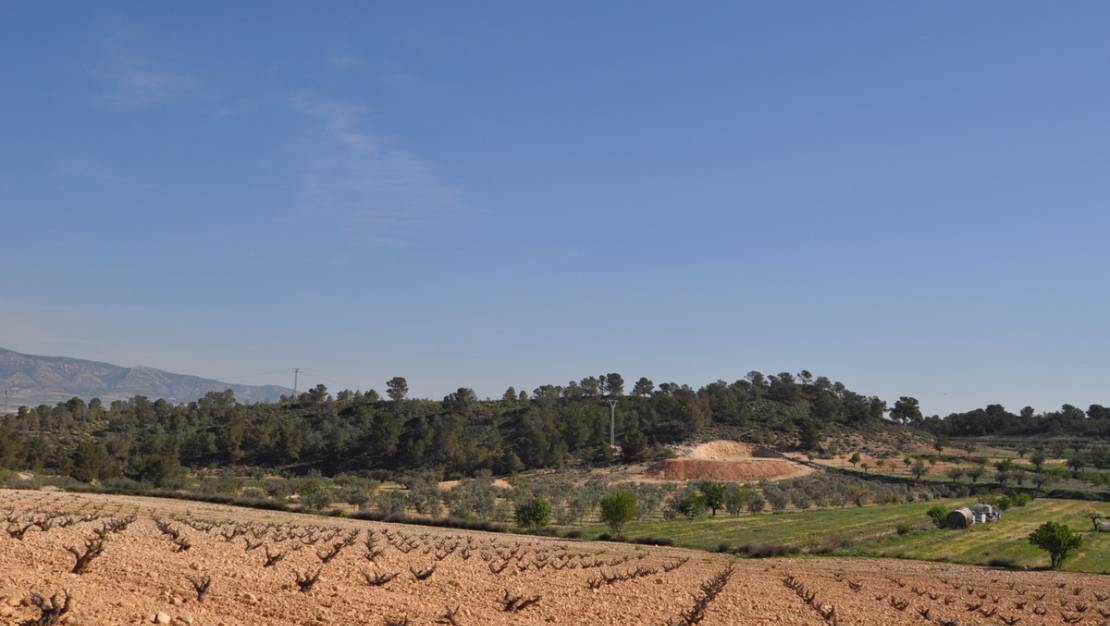 Sale - Land - Jumilla - La Zarza
