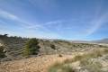 Sale - Land - Jumilla - La Zarza