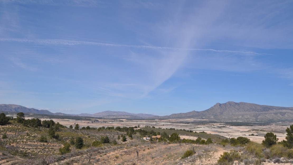 Sale - Land - Jumilla - La Zarza