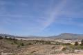 Sale - Land - Jumilla - La Zarza
