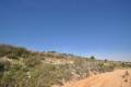 Sale - Land - Jumilla - La Zarza