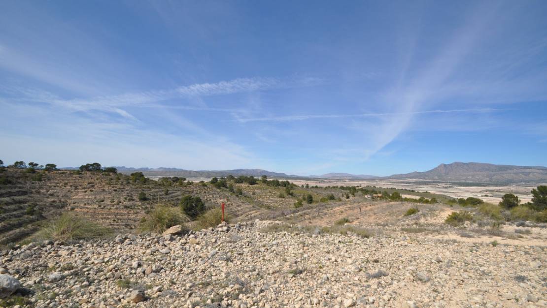 Sale - Land - Jumilla - La Zarza