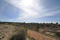 Sale - Land - Jumilla - La Zarza