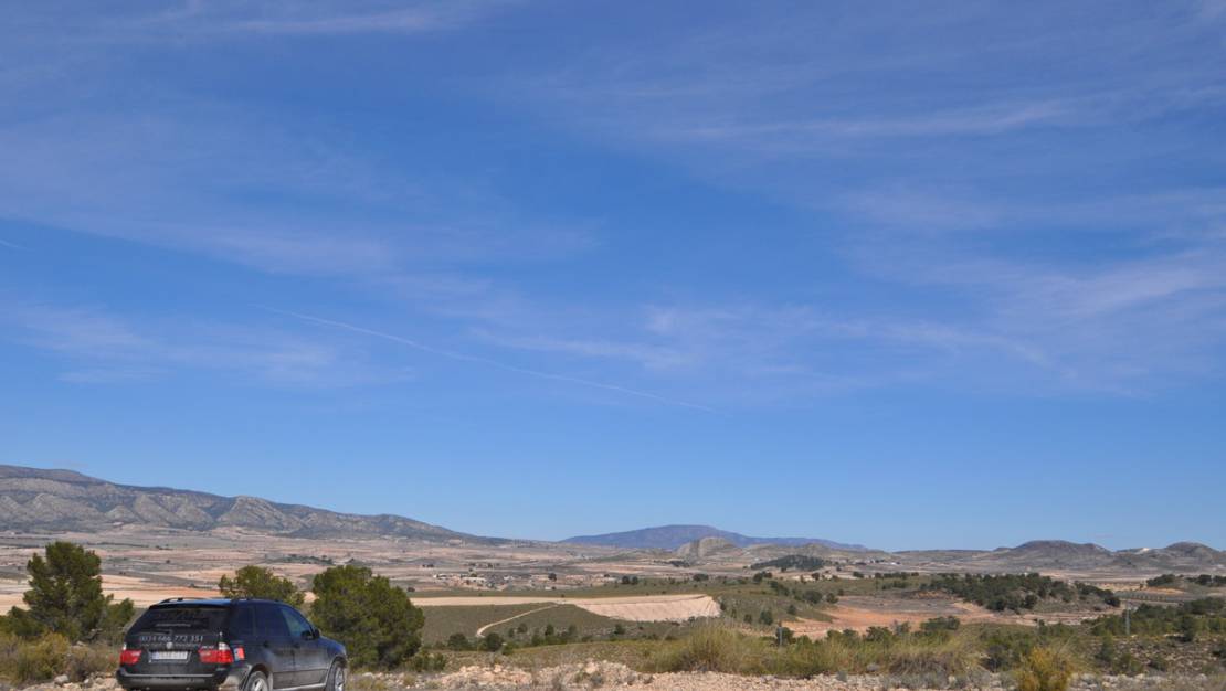 Sale - Land - Jumilla - La Zarza