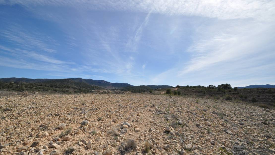 Sale - Land - Jumilla - La Zarza