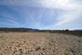 Sale - Land - Jumilla - La Zarza