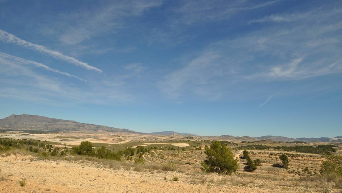 Sale - Land - Jumilla - La Zarza