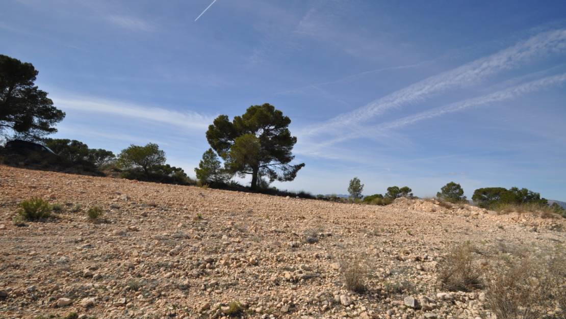 Sale - Land - Jumilla - La Zarza
