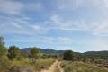 Sale - Land - Jumilla - La Zarza