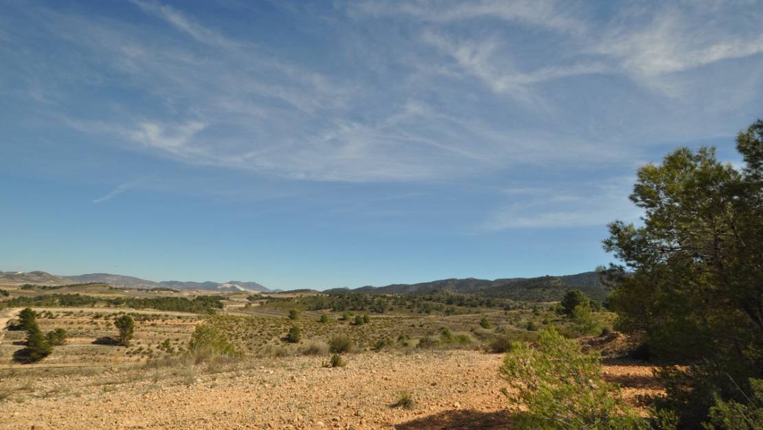 Sale - Land - Jumilla - La Zarza
