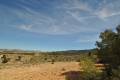 Sale - Land - Jumilla - La Zarza