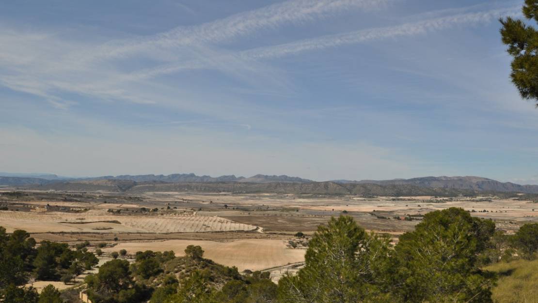 Sale - Land - Jumilla - La Zarza